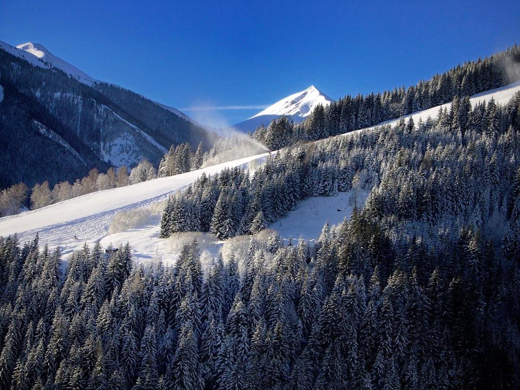 MH Appartement Bartolot Saalbach-Hinterglemm Esterno foto